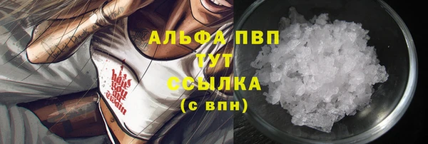 a pvp Бородино