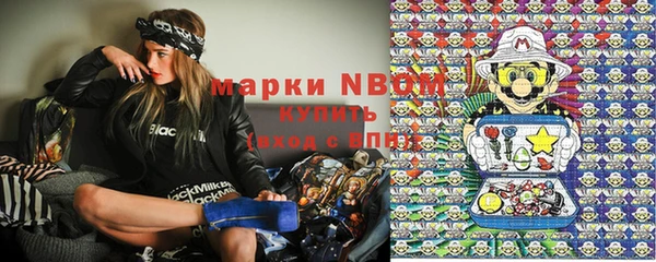 a pvp Бородино
