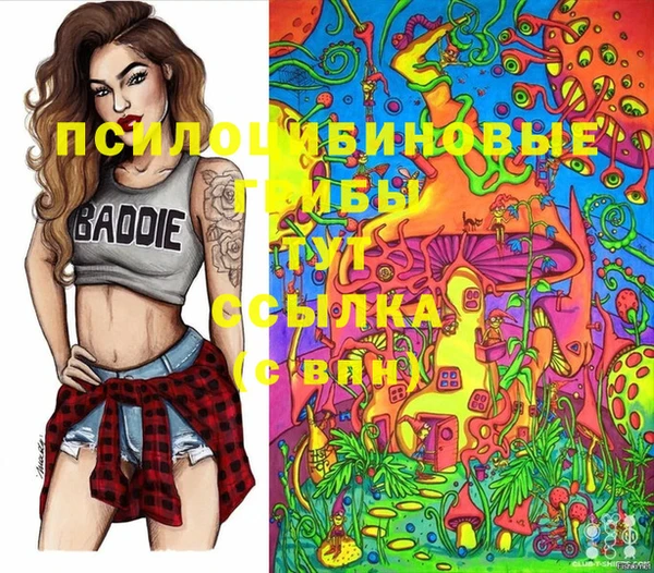 a pvp Бородино