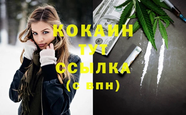 a pvp Бородино