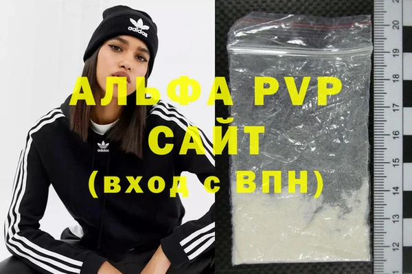 a pvp Бородино