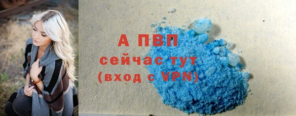 a pvp Бородино