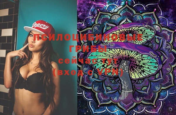 spice Бронницы