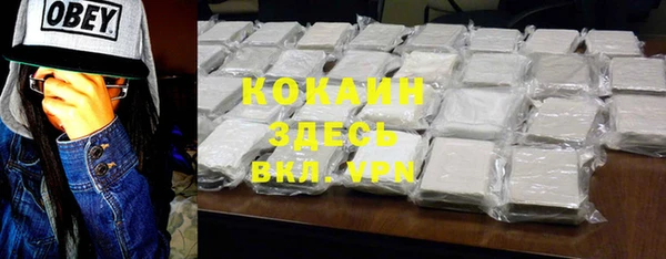 шишки Бугульма
